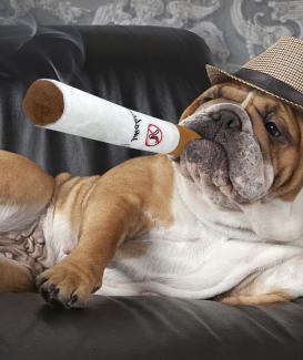 Plush Enrichment Toy Dog Cigar Big Smoke Sweet Sound Bite Degree Smile Pet Supplies Creative Cool